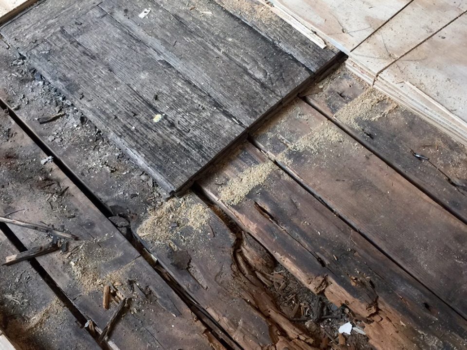 Çürüyen Parkeleriniz İçin 5 Önemli Uyarı